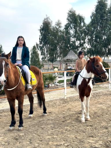 عکس باشگاه سوارکاری زرین (قره قولپاقی)