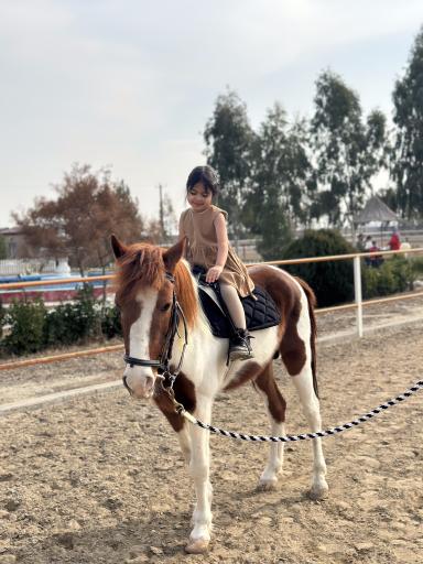 عکس باشگاه سوارکاری زرین (قره قولپاقی)