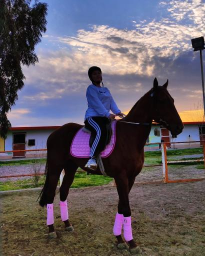 باشگاه سوارکاری زرین (قره قولپاقی)