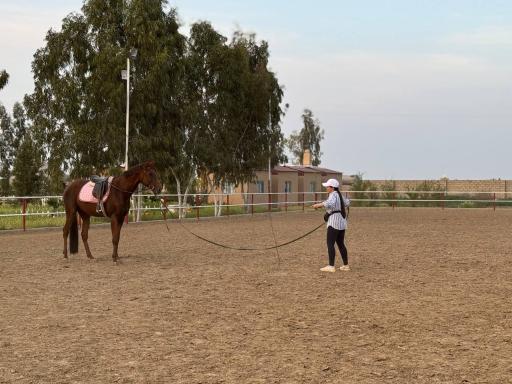 عکس باشگاه سوارکاری زرین (قره قولپاقی)