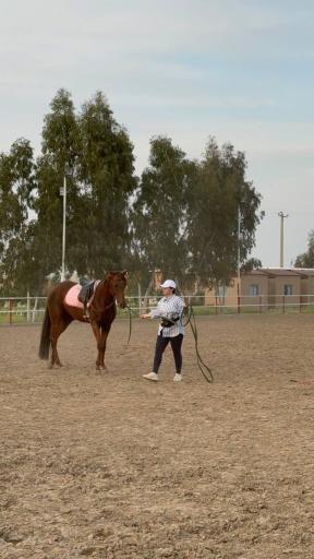 عکس باشگاه سوارکاری زرین (قره قولپاقی)