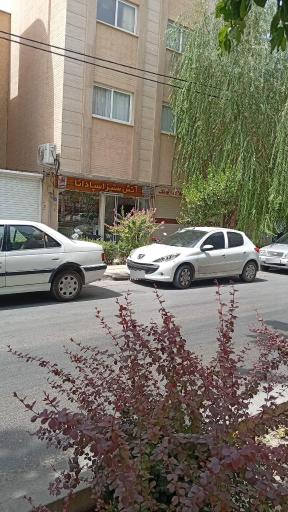 عکس شرکت آتش ستیز اسپادانا