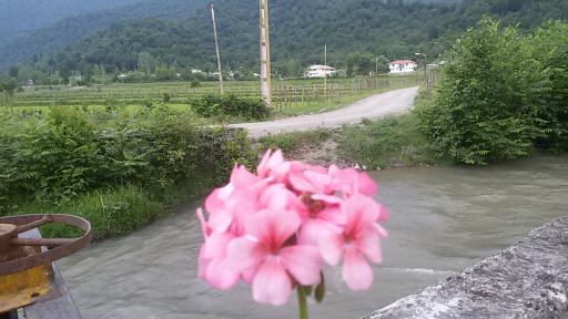 عکس وشمه سرا