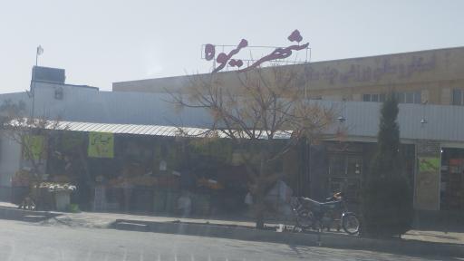 عکس ميوه سرای شهرميوه