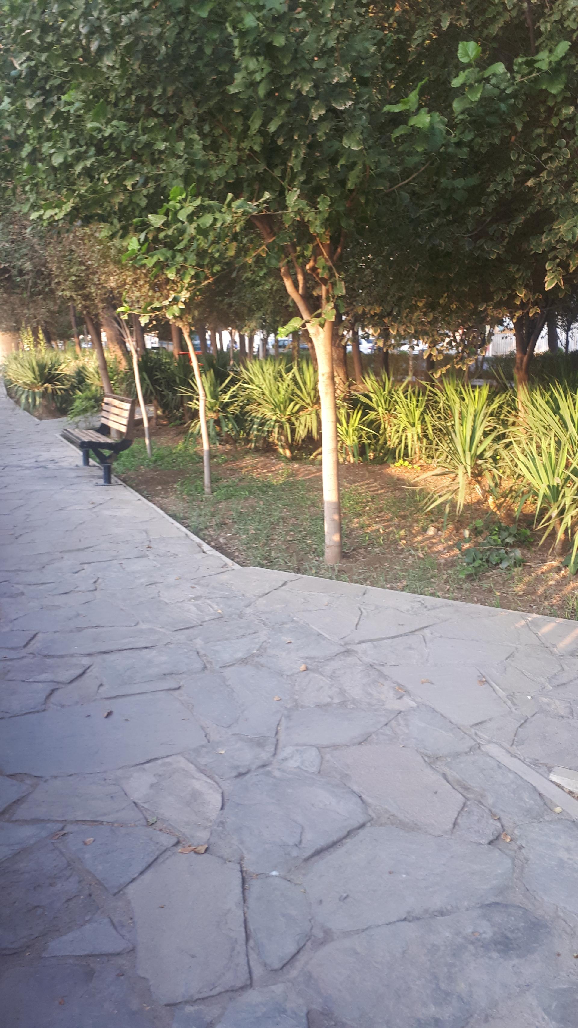 عکس بوستان مطهری