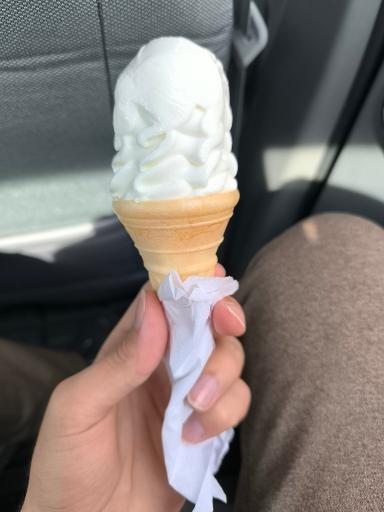 عکس آبمیوه بستنی بلفی