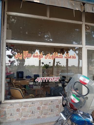 عکس فروشگاه کشاورزی خوشه طلایی