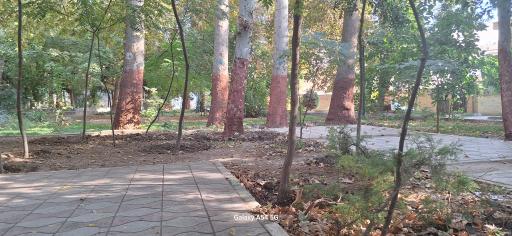 عکس پارک کودک