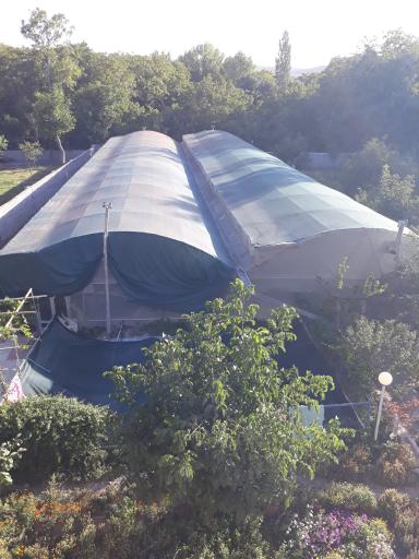 عکس گلخانه ارکیده