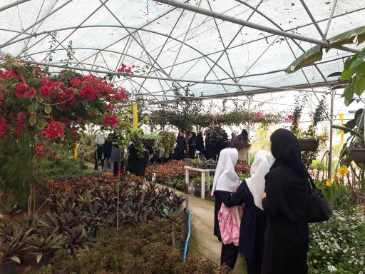 عکس گلخانه ارکیده