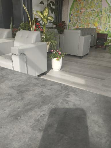 عکس مسکن سرمایه 