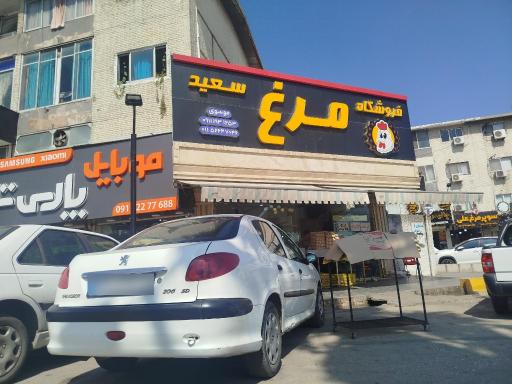 عکس مرغ فروشی سعید