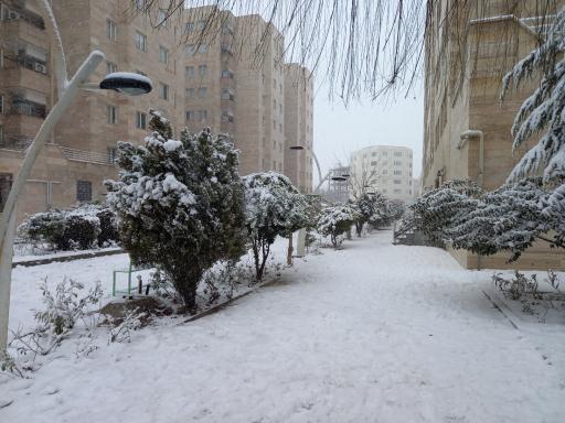 عکس شهرک مسکونی دانشگاه