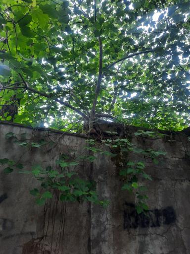 عکس بوستان کشاورز