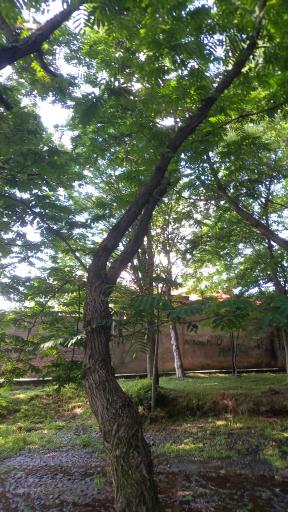 عکس بوستان کشاورز