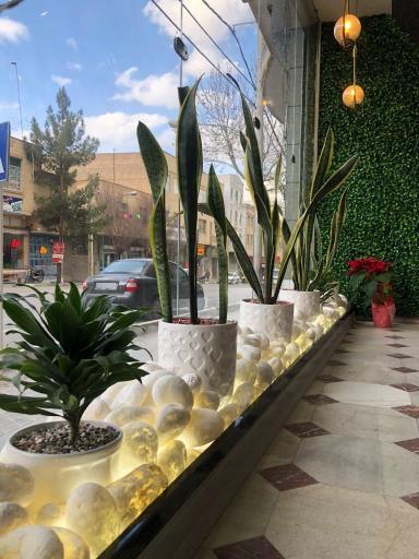 عکس کترینگ ته دیگ 