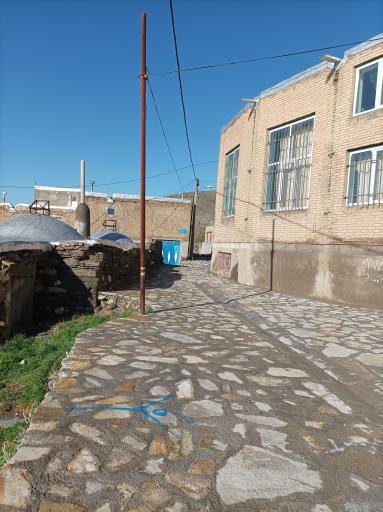عکس نهنجه