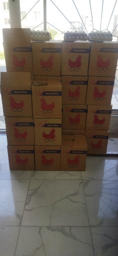 عکس پخش و فروش تخم مرغ محمدی