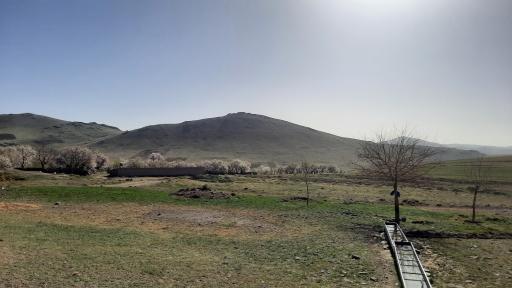 عکس نهنجه