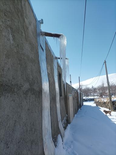 عکس نهنجه