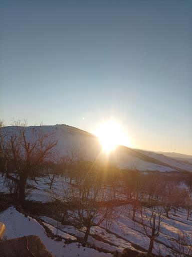 عکس نهنجه