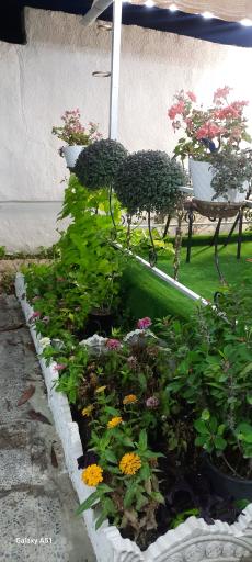 عکس مرکز مهارت آموزی و آموزشگاه موسیقی حنانه