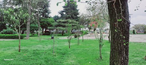 مرکز مهارت آموزی و آموزشگاه موسیقی حنانه