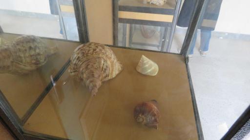 عکس موزه تاریخی سیراف