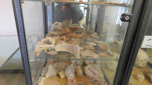 عکس موزه تاریخی سیراف