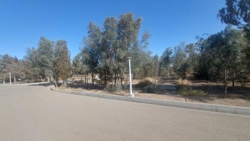 عکس بوستان جنگلی خلیج فارس