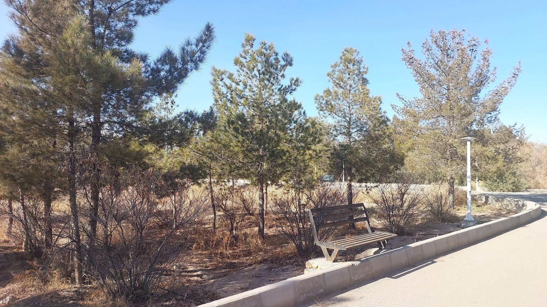 عکس بوستان جنگلی خلیج فارس