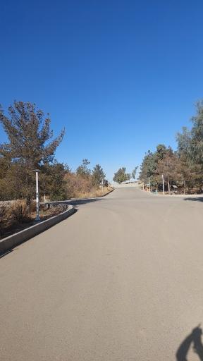 عکس بوستان جنگلی خلیج فارس