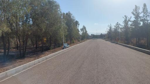 عکس بوستان جنگلی خلیج فارس