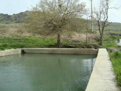 عکس نهنجه