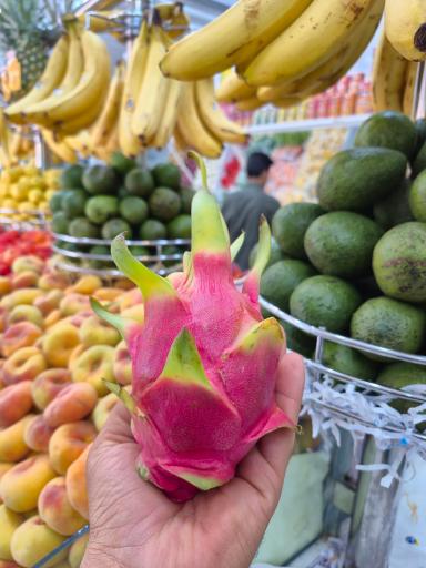 عکس میوه تره بار تکچین 