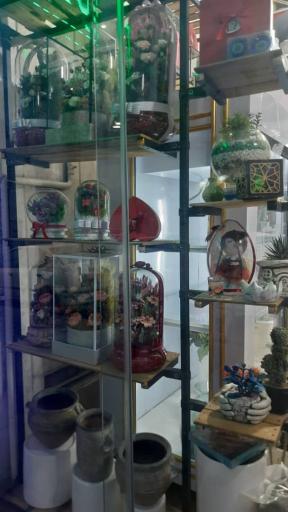 عکس گلسرای آروشا