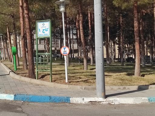 عکس بوستان کاج 1