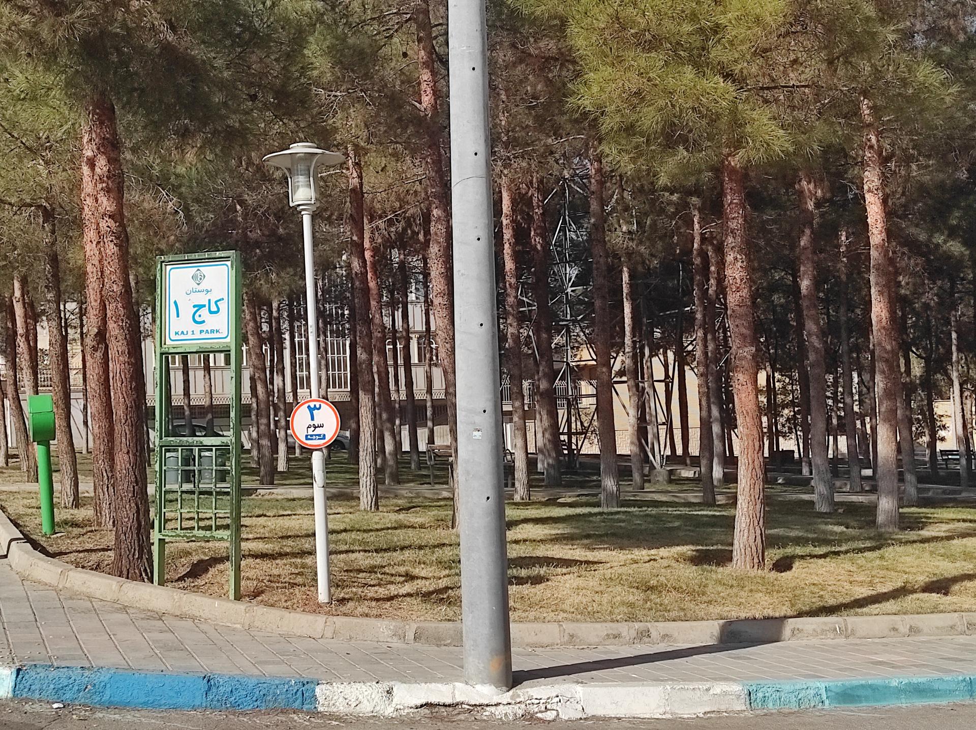 عکس بوستان کاج 1