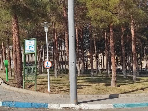 عکس بوستان کاج 1