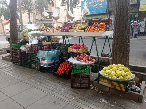 میوه فروشی  سهیل