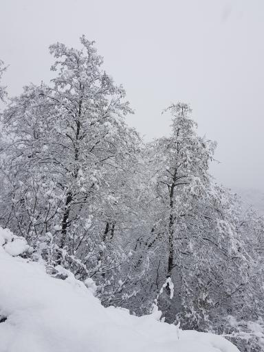 عکس گردنه حیران