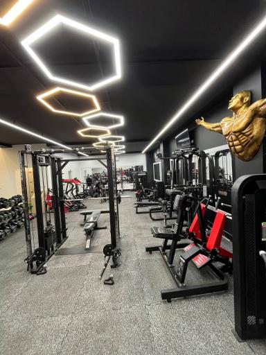 عکس باشگاه بدنسازی دیار