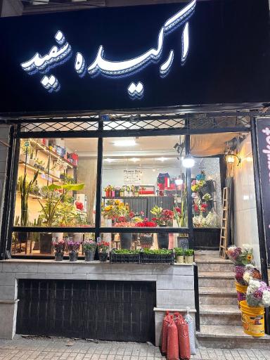 عکس گل ارکیده سفید 