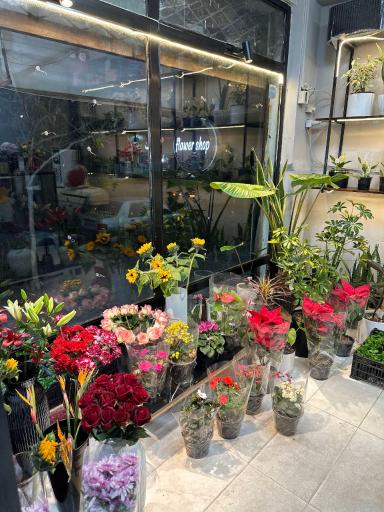 عکس گل ارکیده سفید 