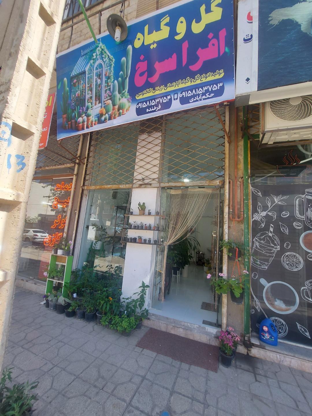 عکس گل فروشی افرا سرخ