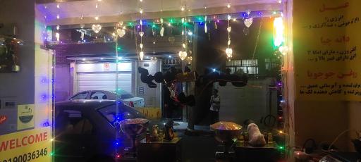 عکس روغنکده