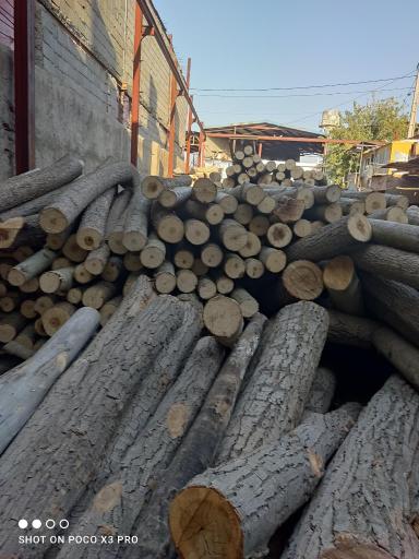 عکس انبار چوب حسینی