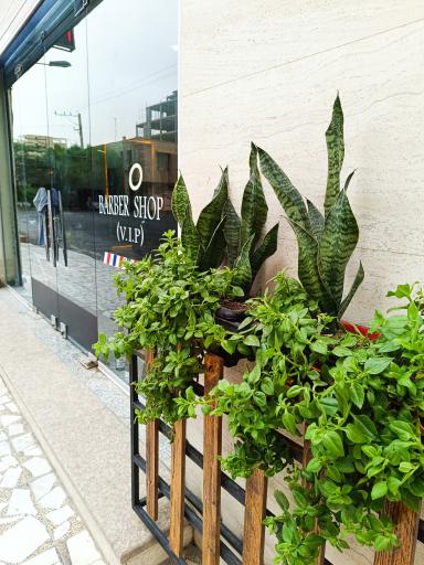 عکس آرایشگاه دکتر مو