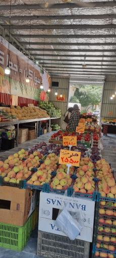 عکس فروشگاه ملاصدرا