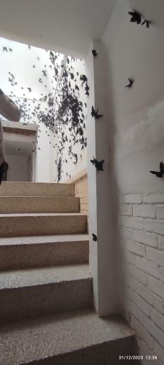 عکس دانشکده هنر و معماری مرتاض